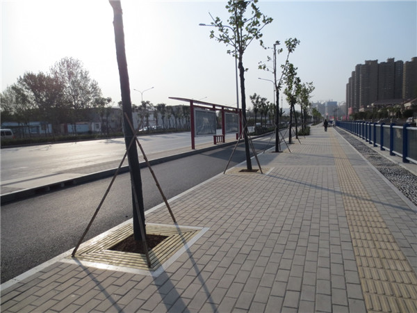 PA��Ѷ(�й���)���� - PlayAce