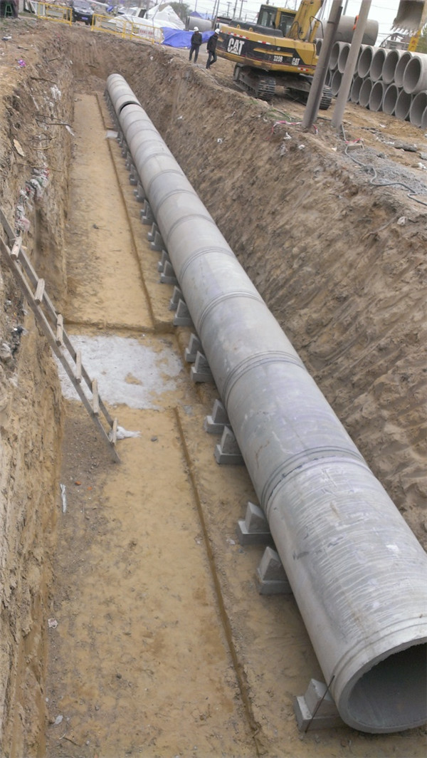 PA��Ѷ(�й���)���� - PlayAce