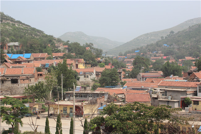 PA��Ѷ(�й���)���� - PlayAce