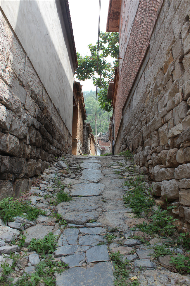 PA��Ѷ(�й���)���� - PlayAce