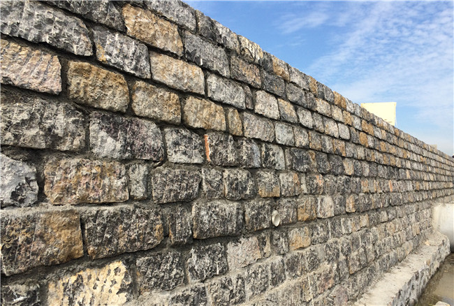 PA��Ѷ(�й���)���� - PlayAce